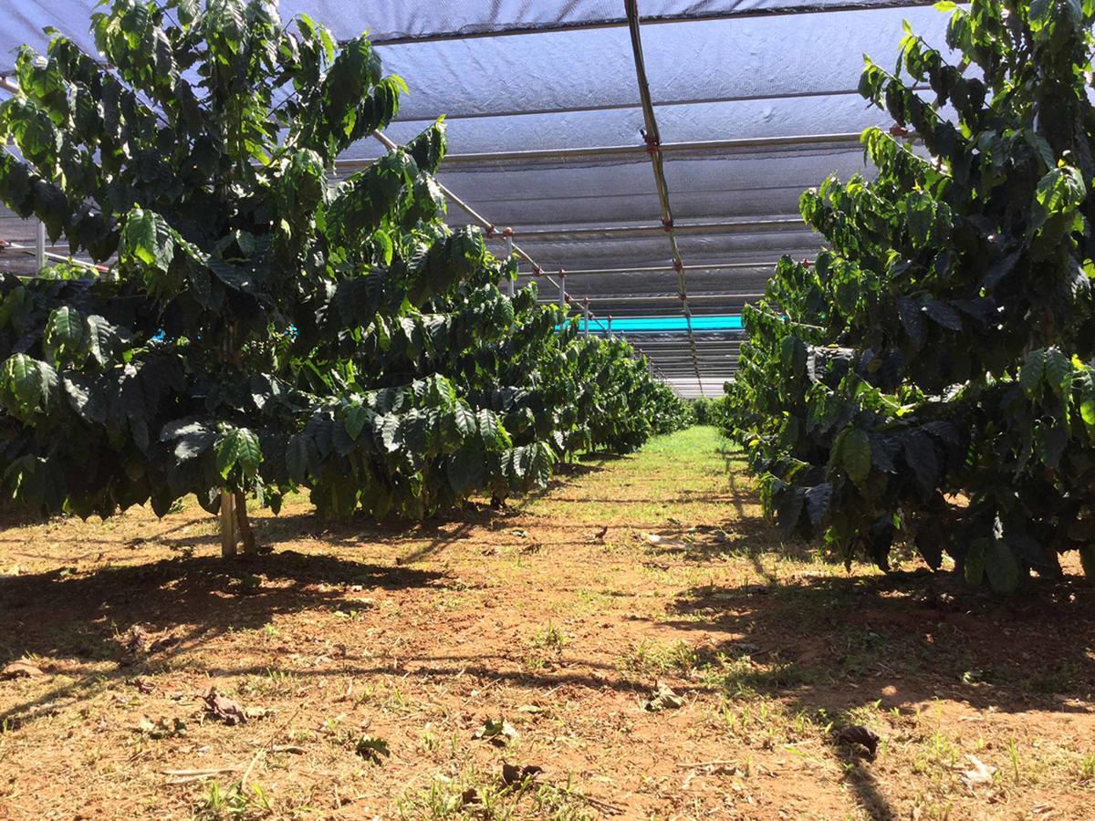 Matayoshi Coffee Farm Villa Higashi Bagian luar foto