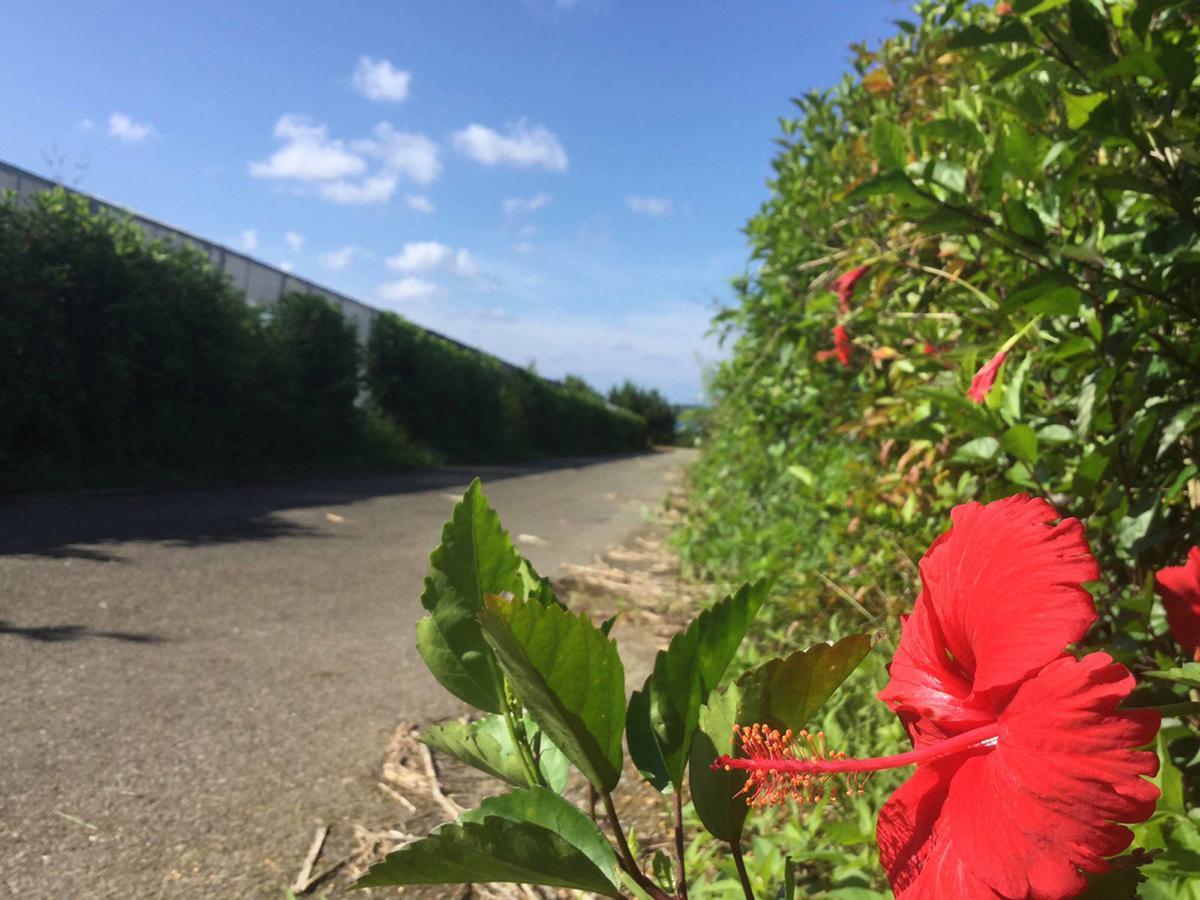 Matayoshi Coffee Farm Villa Higashi Bagian luar foto